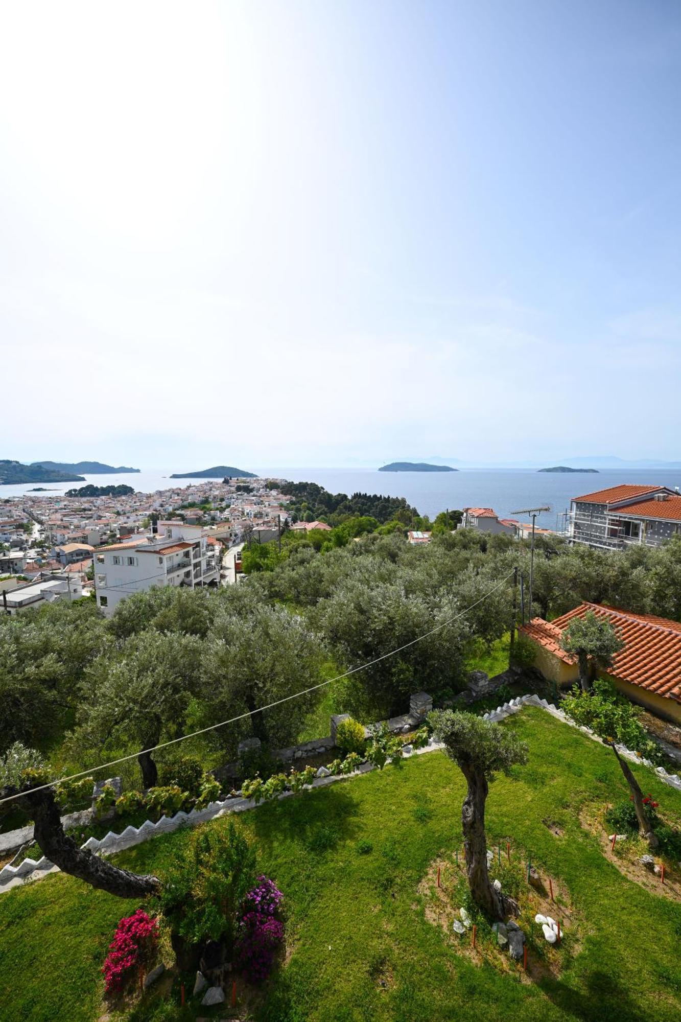 Makis Sea View Studios مدينة سكياثوس المظهر الخارجي الصورة